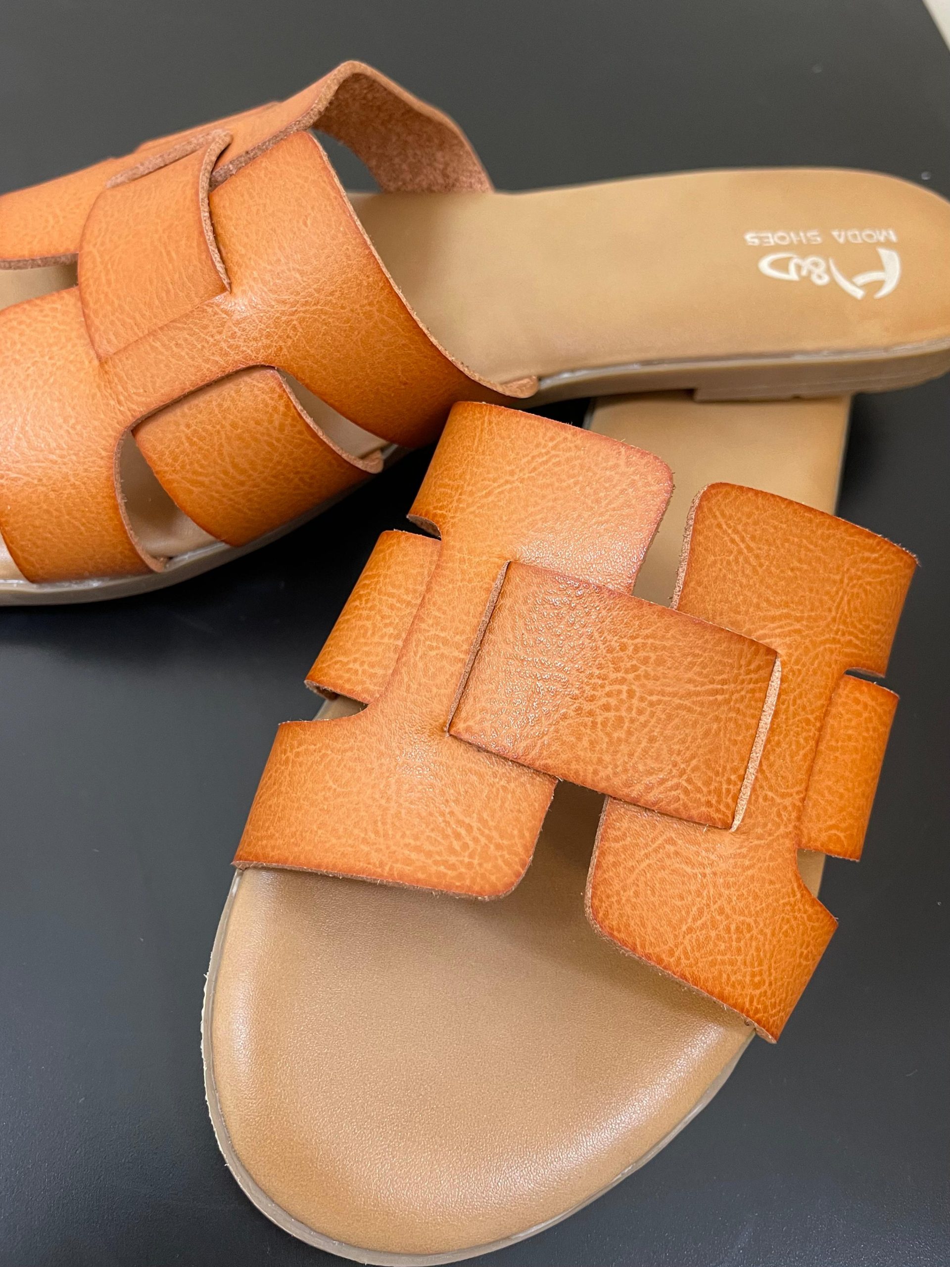 Pala camel - Imagen 2